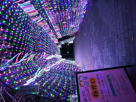 カーデンイルミネーション2020
